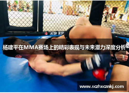杨建平在MMA赛场上的精彩表现与未来潜力深度分析