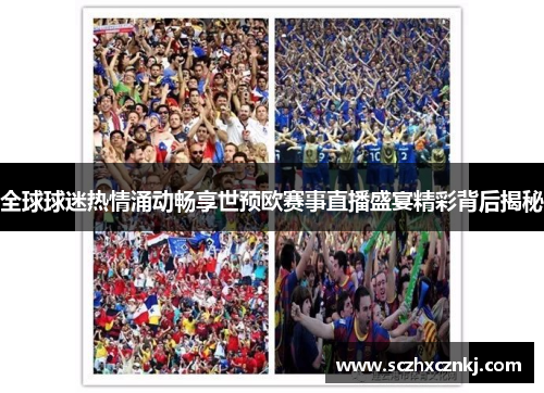 全球球迷热情涌动畅享世预欧赛事直播盛宴精彩背后揭秘