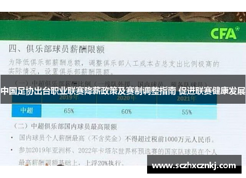 中国足协出台职业联赛降薪政策及赛制调整指南 促进联赛健康发展