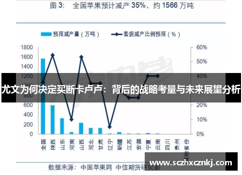 尤文为何决定买断卡卢卢：背后的战略考量与未来展望分析