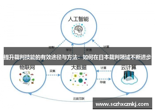 提升裁判技能的有效途径与方法：如何在日本裁判领域不断进步