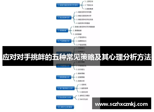 应对对手挑衅的五种常见策略及其心理分析方法 应对对手挑衅的五种常见策略及其心理分析方法