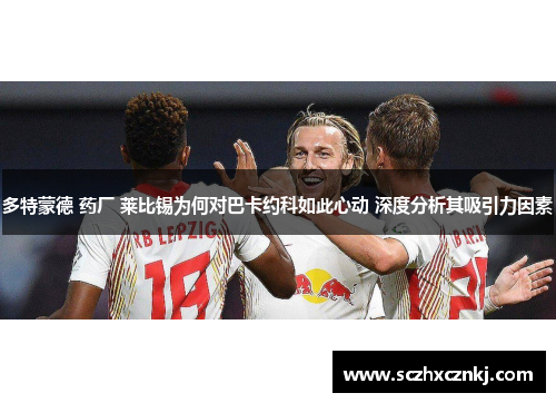 多特蒙德 药厂 莱比锡为何对巴卡约科如此心动 深度分析其吸引力因素 多特蒙德 药厂 莱比锡为何对巴卡约科如此心动 深度分析其吸引力因素