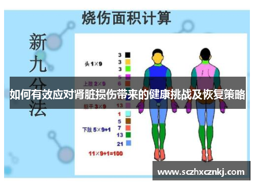 如何有效应对肾脏损伤带来的健康挑战及恢复策略 如何有效应对肾脏损伤带来的健康挑战及恢复策略
