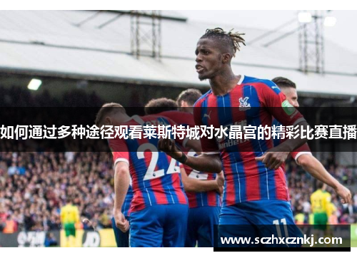如何通过多种途径观看莱斯特城对水晶宫的精彩比赛直播 如何通过多种途径观看莱斯特城对水晶宫的精彩比赛直播