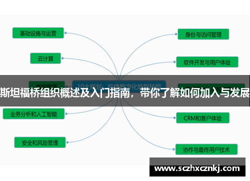 斯坦福桥组织概述及入门指南，带你了解如何加入与发展