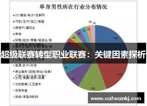 超级联赛转型职业联赛:关键因素探析 超级联赛转型职业联赛:关键因素探析