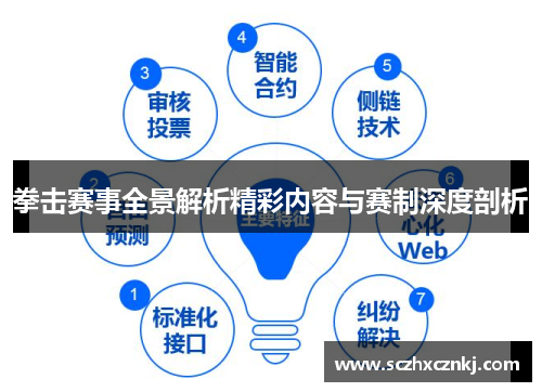 拳击赛事全景解析精彩内容与赛制深度剖析