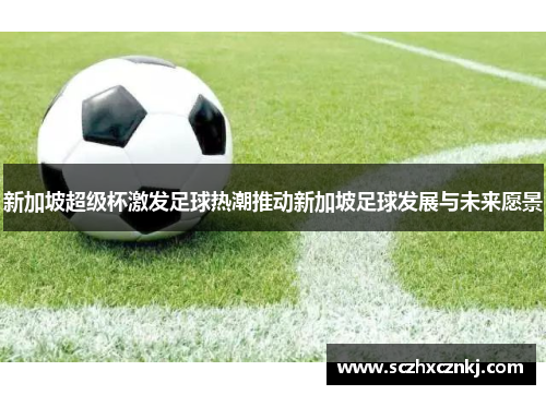 新加坡超级杯激发足球热潮推动新加坡足球发展与未来愿景 新加坡超级杯激发足球热潮推动新加坡足球发展与未来愿景